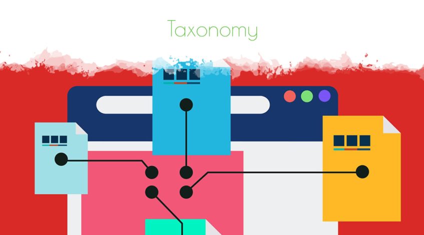 Taxonomy and your Website - Why It's Important to Categorise and Organise the Information on your Website