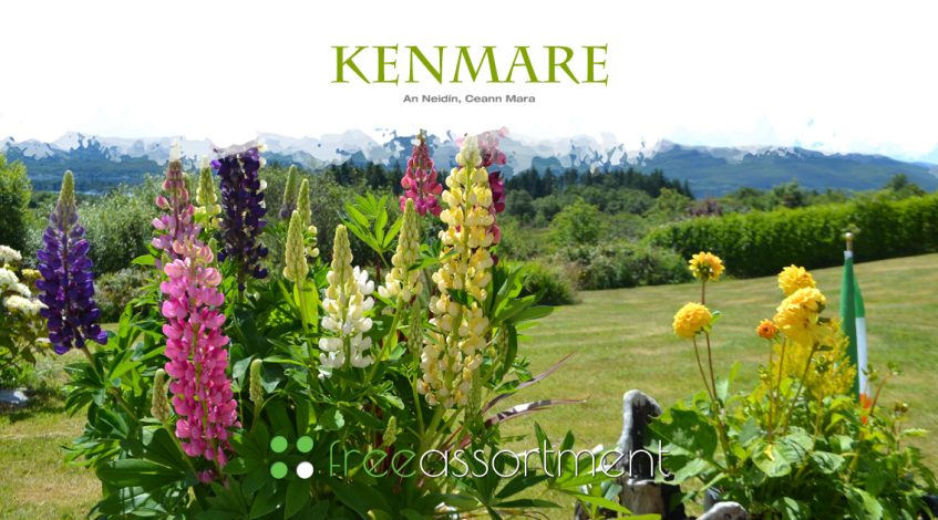 Kenmare Web Design & Digital Advertising - FreeAssortment.net
