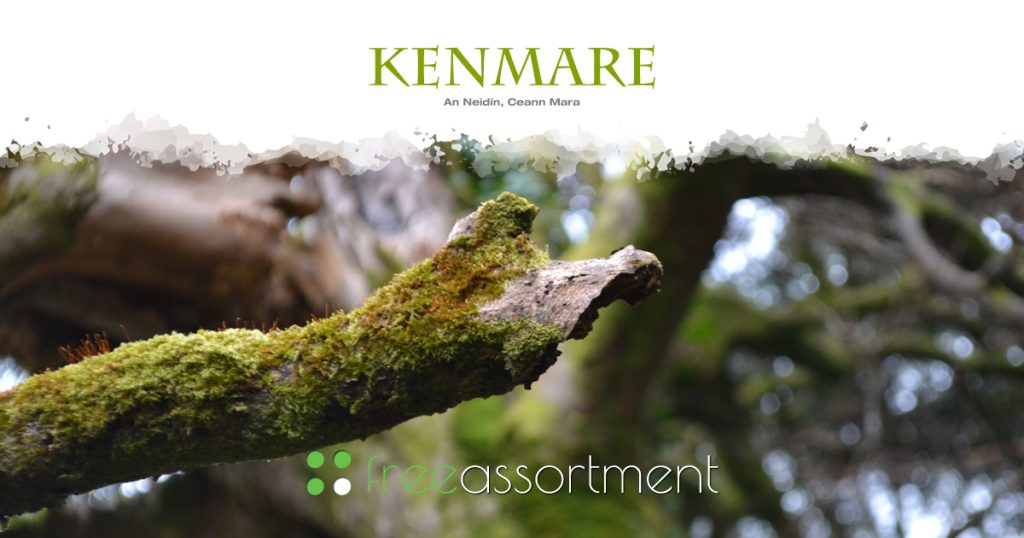 Kenmare Web Design & Digital Advertising - FreeAssortment.net