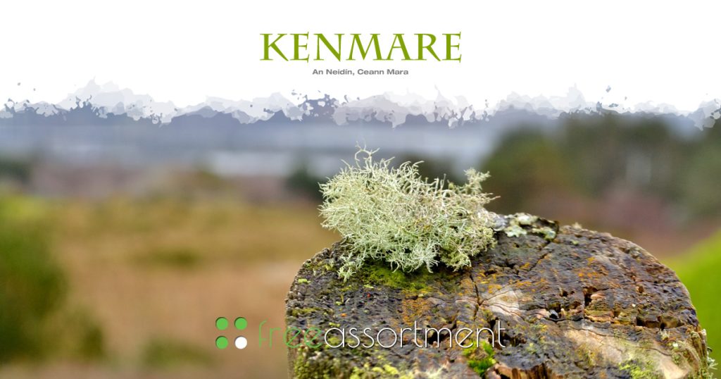 Kenmare Web Design & Digital Advertising - FreeAssortment.net