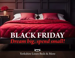 Black Friday Advertising Campaign