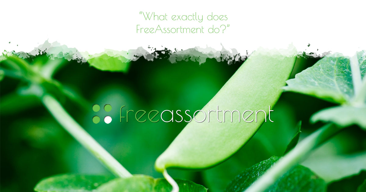 What exactly does FreeAssortment do?